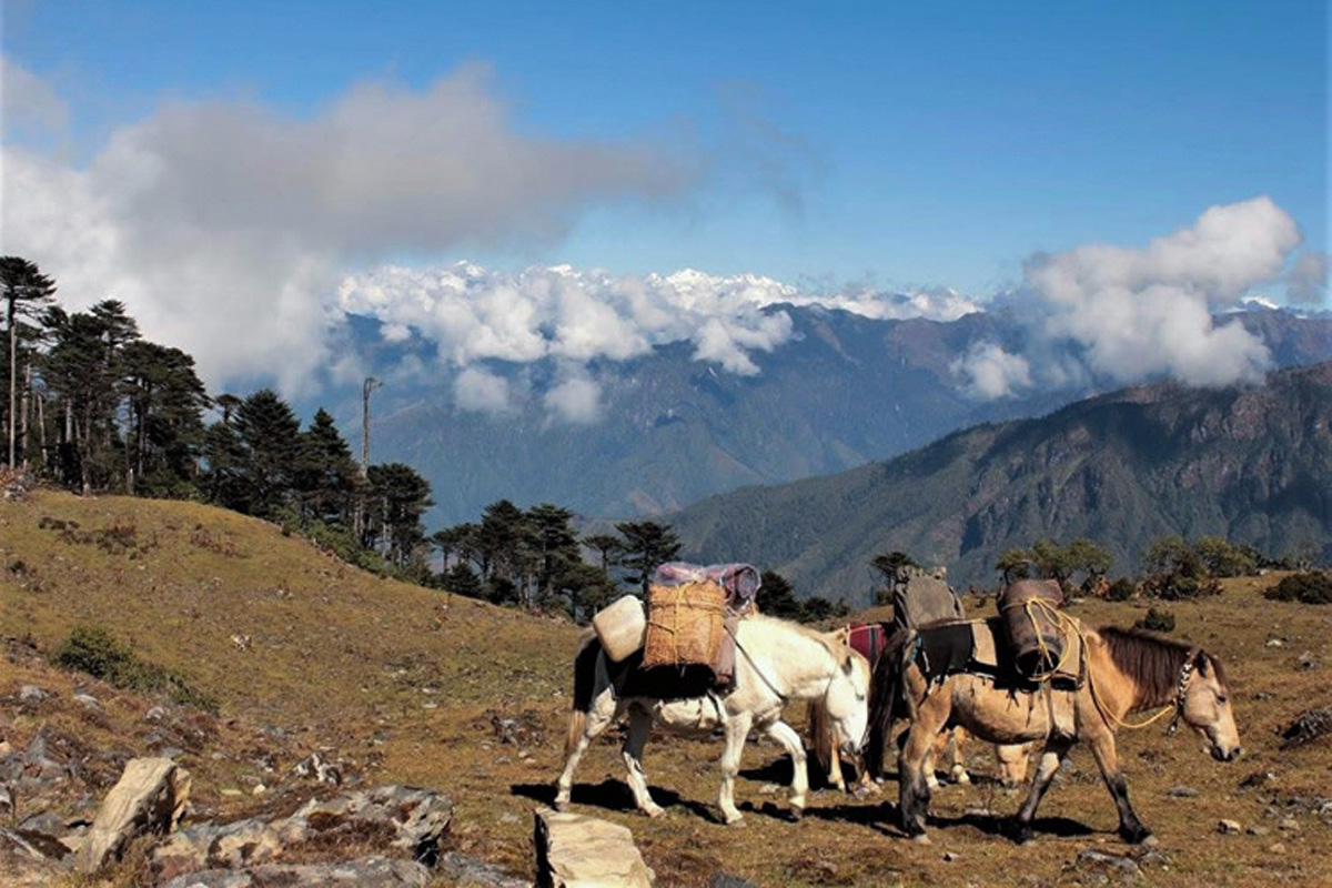 Merak Sakteng Trek